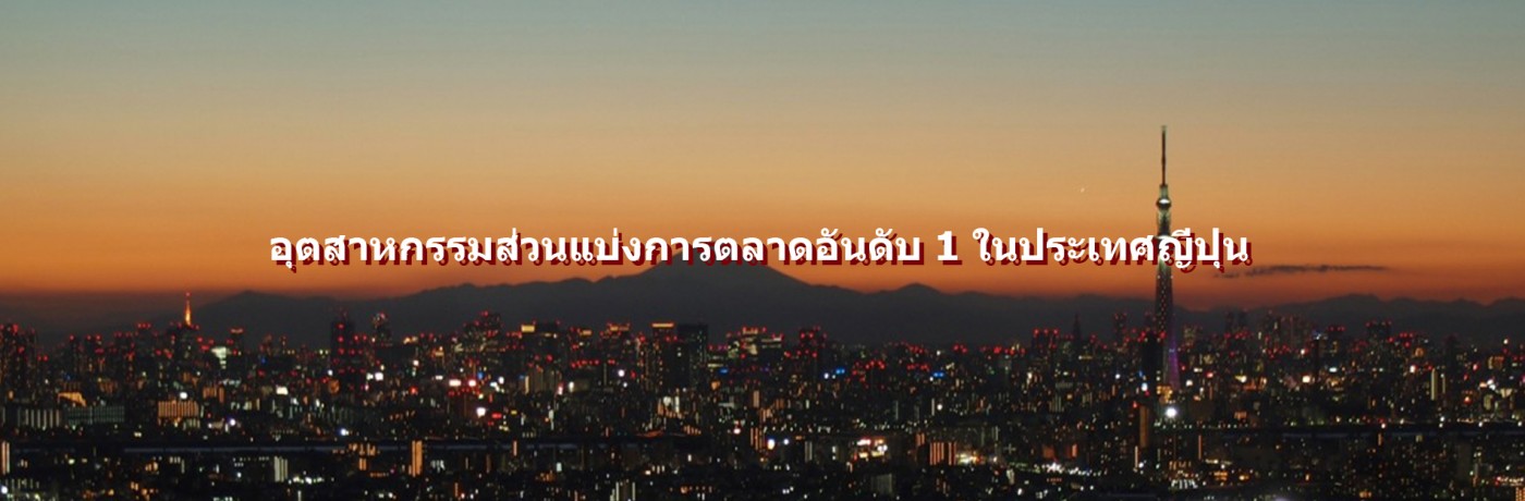 ข้อมูลบริษัท